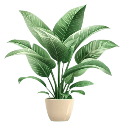 Green plant